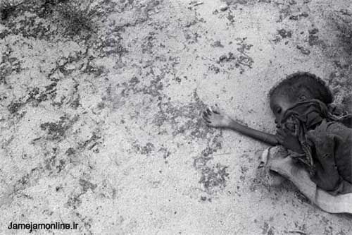 پرداخت مستقیم کمکهای بشردوستانه در:

غرفه کمکهای بشردوستانه به غزه، پاکستان و سومالی در نمایشگاه قرآن+تصاویر