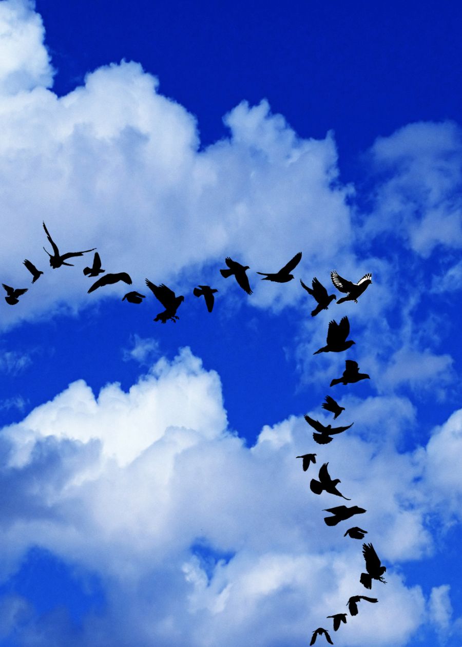 داودی راهپیمایی به سوی قدس