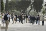 عشرات المستوطنين والجنود يقتحمون المسجد الأقصى