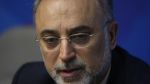 Regional uprisings to further isolate Israel: Salehi
