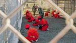 Scotland Yard to probe UK officials’ role in Gitmo torture