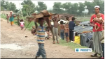 UNHCR discriminates against India’s Rohingya community