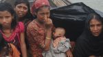 UN calls for probe into abuses against Rohingya Muslims