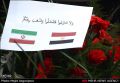 رییس دفتر حافظ منافع مصر در ایران:

همه مردم مصر تندروی را رد می کنند