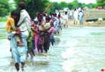 Helping Pakistani flood victims 2010 2